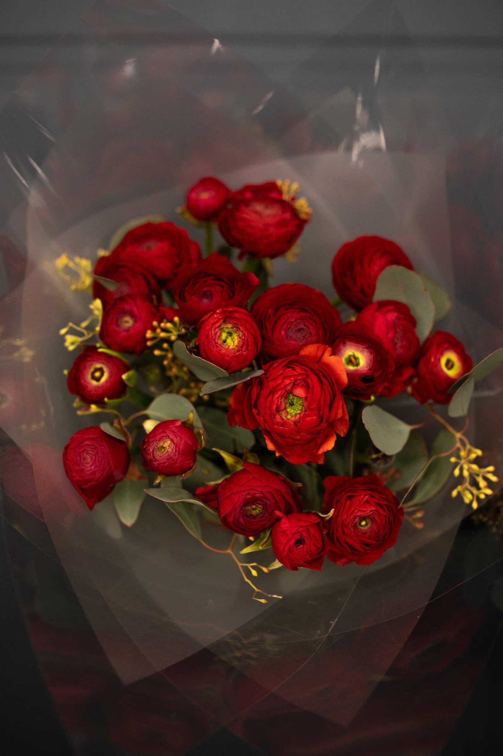 Bouquet N8