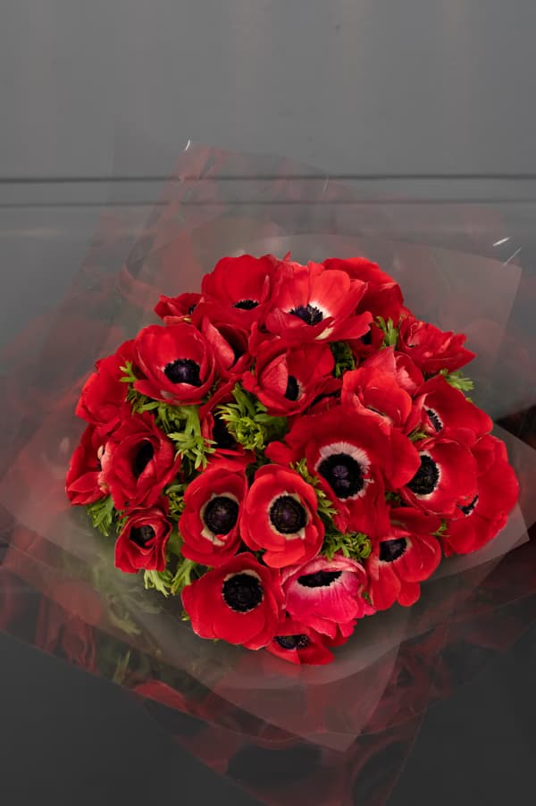 Bouquet N3